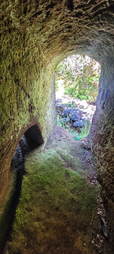 Levada da Senhora (Estreito da Calheta) — Abschnitt 3: Tunnel in der Ribeira Grande — Foto 15