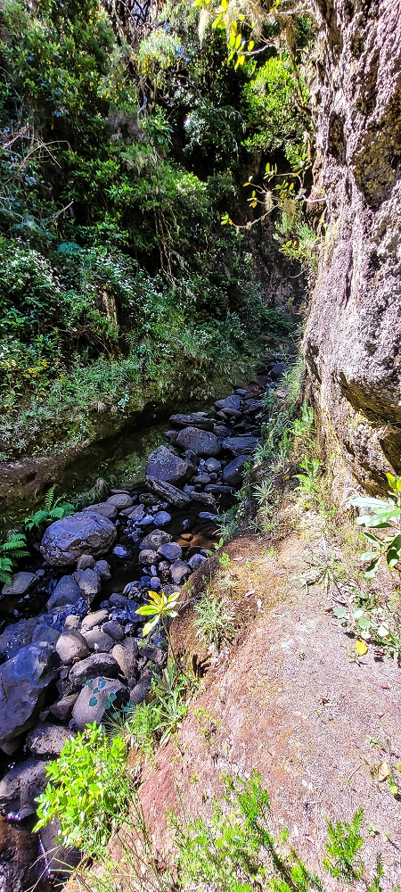 Levada da Senhora (Estreito da Calheta) — Abschnitt 4: Von der Ribeira Grande zum PR — Foto 1
