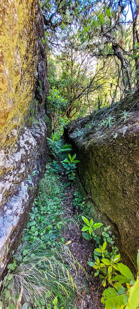 Levada da Senhora (Estreito da Calheta) — Abschnitt 4: Von der Ribeira Grande zum PR — Foto 2