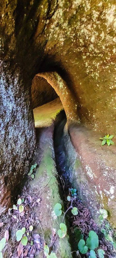 Levada da Senhora (Estreito da Calheta) — Abschnitt 3: Tunnel in der Ribeira Grande — Foto 17
