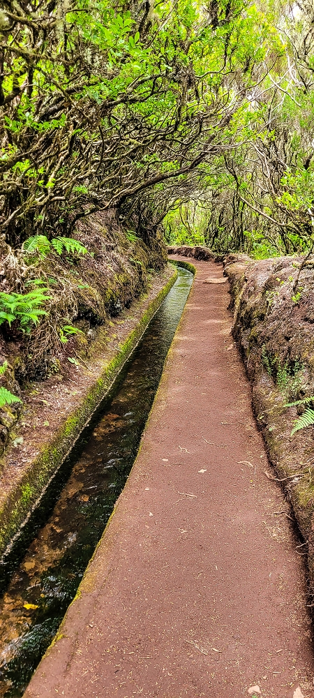 29.06.2022  und die Weiterentdeckung der Levada da Senhora — Levada do Alecrim — photo 1