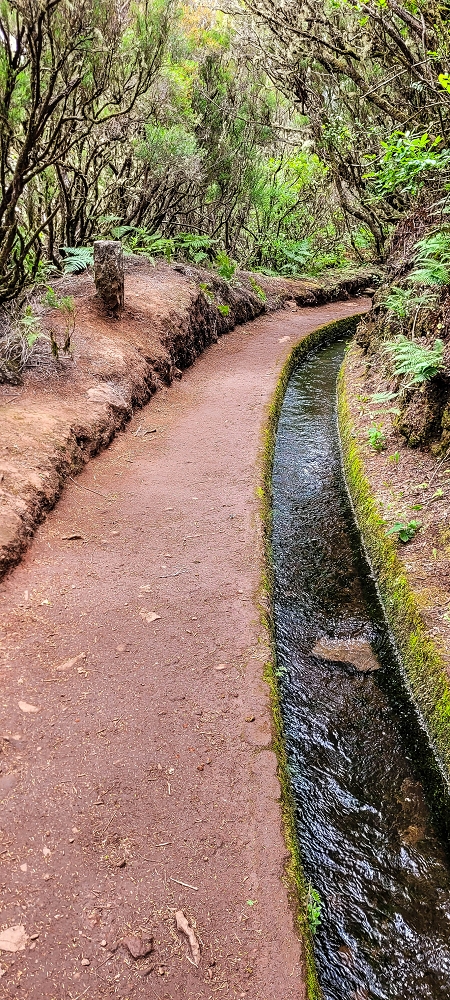 29.06.2022  und die Weiterentdeckung der Levada da Senhora — Levada do Alecrim — photo 2
