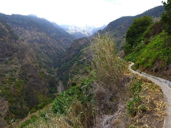29.07.2012 Levada Nova-Levada do Moinho — Vom Jangao bia zur Madre der Levada Nova — Foto 1