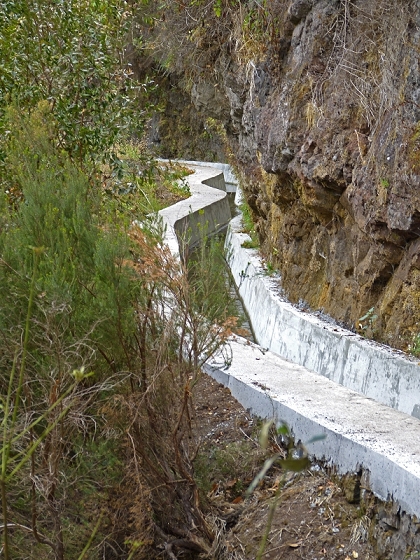 29.07.2012 Levada Nova-Levada do Moinho — Vom Jangao bia zur Madre der Levada Nova — Foto 15