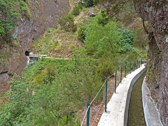 29.07.2012 Levada Nova-Levada do Moinho — Vom Jangao bia zur Madre der Levada Nova — Foto 17