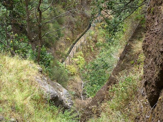 29.07.2012 Levada Nova-Levada do Moinho — Vom Jangao bia zur Madre der Levada Nova — Foto 18
