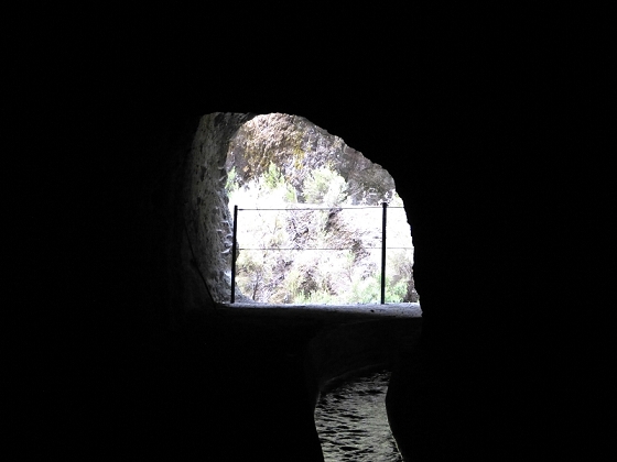 29.07.2012 Levada Nova-Levada do Moinho — Vom Jangao bia zur Madre der Levada Nova — Foto 19