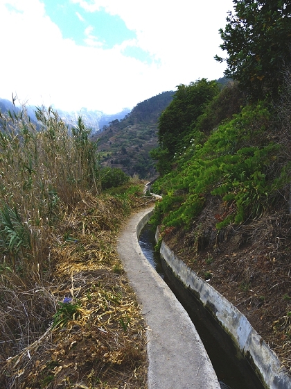 29.07.2012 Levada Nova-Levada do Moinho — Vom Jangao bia zur Madre der Levada Nova — Foto 2