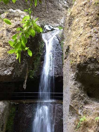 29.07.2012 Levada Nova-Levada do Moinho — Vom Jangao bia zur Madre der Levada Nova — Foto 23