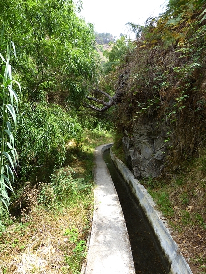 29.07.2012 Levada Nova-Levada do Moinho — Vom Jangao bia zur Madre der Levada Nova — Foto 28