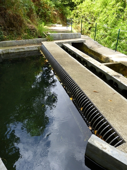 Levada Nova — Weitere Beschreibungen — Foto 2