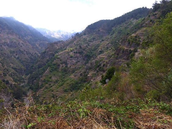 29.07.2012 Levada Nova-Levada do Moinho — Vom Jangao bia zur Madre der Levada Nova — Foto 3