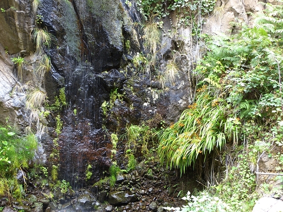 29.07.2012 Levada Nova-Levada do Moinho — Im Bachbett nördlich der Madre — Foto 6