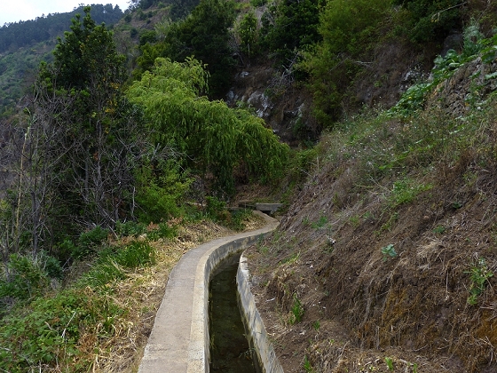 29.07.2012 Levada Nova-Levada do Moinho — Vom Jangao bia zur Madre der Levada Nova — Foto 4