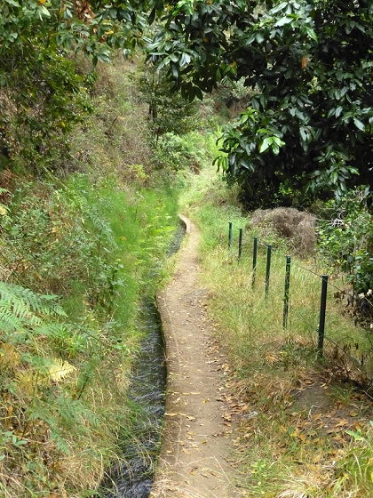 29.07.2012 Levada Nova-Levada do Moinho — Auf der Levada do Moinho — Foto 6