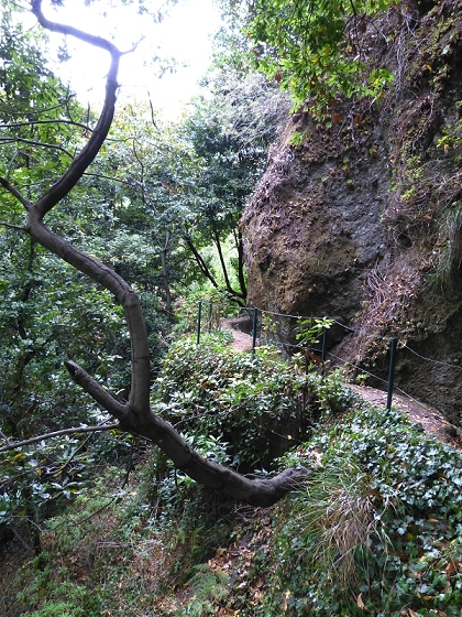 29.07.2012 Levada Nova-Levada do Moinho — Auf der Levada do Moinho — Foto 9