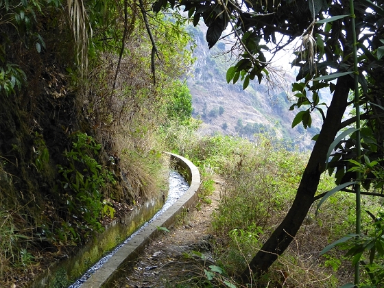 29.07.2012 Levada Nova-Levada do Moinho — Auf der Levada do Moinho — Foto 15
