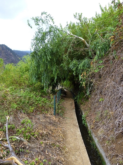 29.07.2012 Levada Nova-Levada do Moinho — Auf der Levada do Moinho — Foto 21