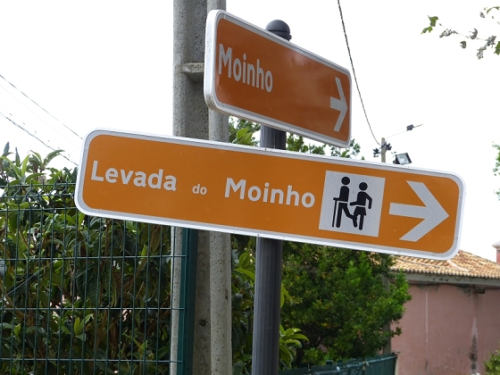 29.07.2012 Levada Nova-Levada do Moinho — Zurück zum Startpunkt — Foto 1