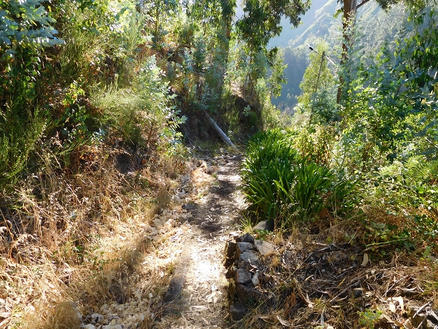 29 de julho de 2015 Levada do Norte de Serra de Agua a Espigao — Da central até à Ribeira do Poco — foto 10