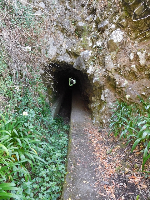 29 de julho de 2015 Levada do Norte de Serra de Agua a Espigao — Da central até à Ribeira do Poco — foto 12