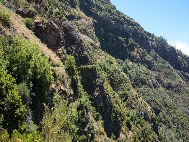 29 de julho de 2015 Levada do Norte de Serra de Agua a Espigao — Seguindo até ao túnel de Espigao — foto 10