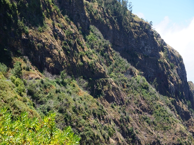 29 de julho de 2015 Levada do Norte de Serra de Agua a Espigao — Seguindo até ao túnel de Espigao — foto 11