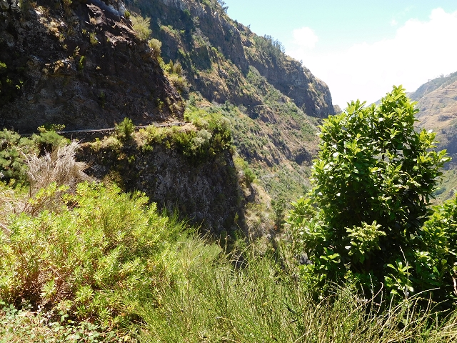 29 de julho de 2015 Levada do Norte de Serra de Agua a Espigao — Seguindo até ao túnel de Espigao — foto 12