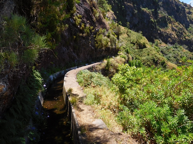 29 de julho de 2015 Levada do Norte de Serra de Agua a Espigao — Seguindo até ao túnel de Espigao — foto 17