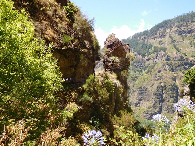 29 de julho de 2015 Levada do Norte de Serra de Agua a Espigao — Seguindo até ao túnel de Espigao — foto 19