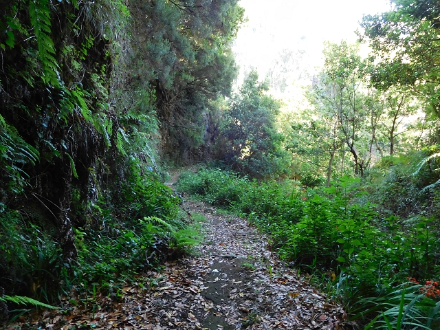 29 de julho de 2015 Levada do Norte de Serra de Agua a Espigao — Da central até à Ribeira do Poco — foto 15