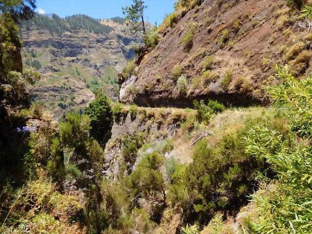 29 de julho de 2015 Levada do Norte de Serra de Agua a Espigao — Seguindo até ao túnel de Espigao — foto 21