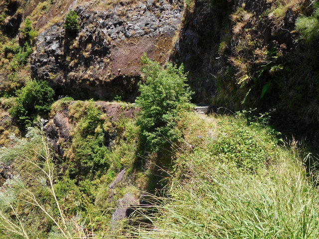29 de julho de 2015 Levada do Norte de Serra de Agua a Espigao — Seguindo até ao túnel de Espigao — foto 28