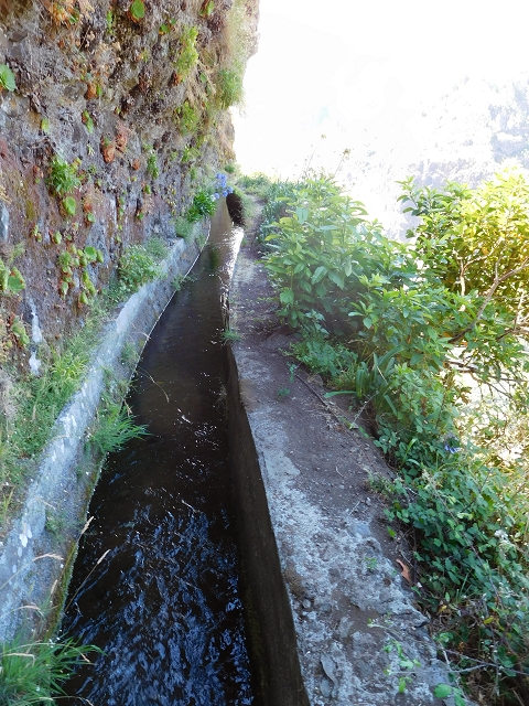 29 de julho de 2015 Levada do Norte de Serra de Agua a Espigao — Seguindo até ao túnel de Espigao — foto 30