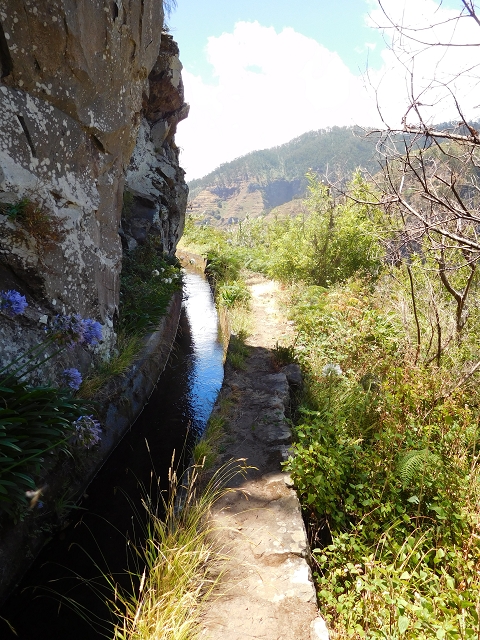 29 de julho de 2015 Levada do Norte de Serra de Agua a Espigao — Seguindo até ao túnel de Espigao — foto 31