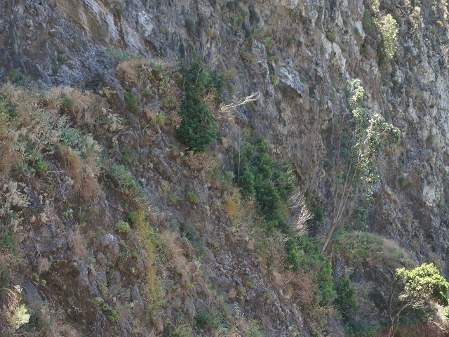 29 de julho de 2015 Levada do Norte de Serra de Agua a Espigao — A travessia — foto 4