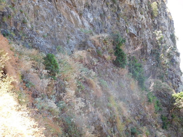 29 de julho de 2015 Levada do Norte de Serra de Agua a Espigao — A travessia — foto 6