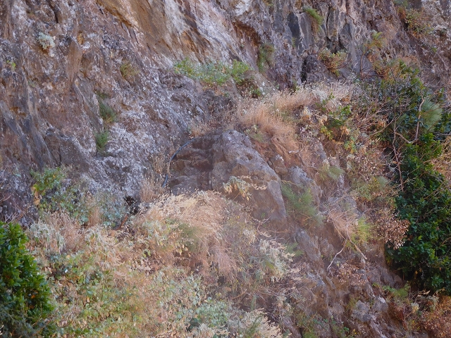 29 de julho de 2015 Levada do Norte de Serra de Agua a Espigao — A travessia — foto 7