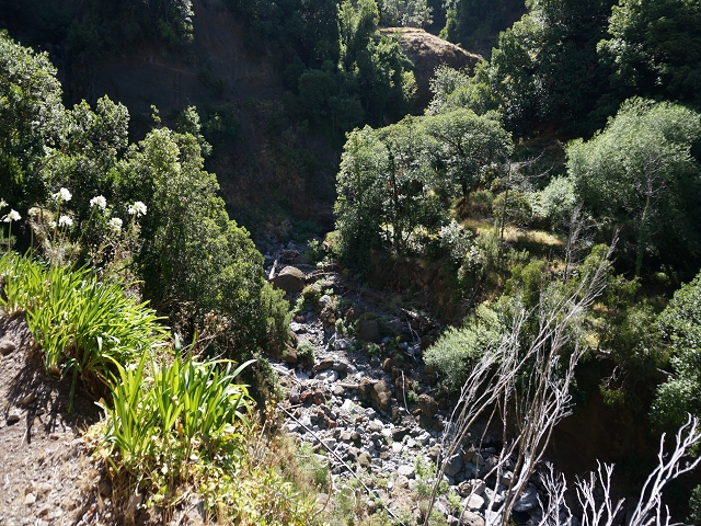 29 de julho de 2015 Levada do Norte de Serra de Agua a Espigao — Da central até à Ribeira do Poco — foto 18