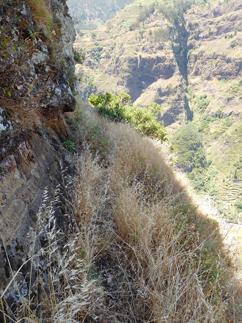 29 de julho de 2015 Levada do Norte de Serra de Agua a Espigao — A travessia — foto 19