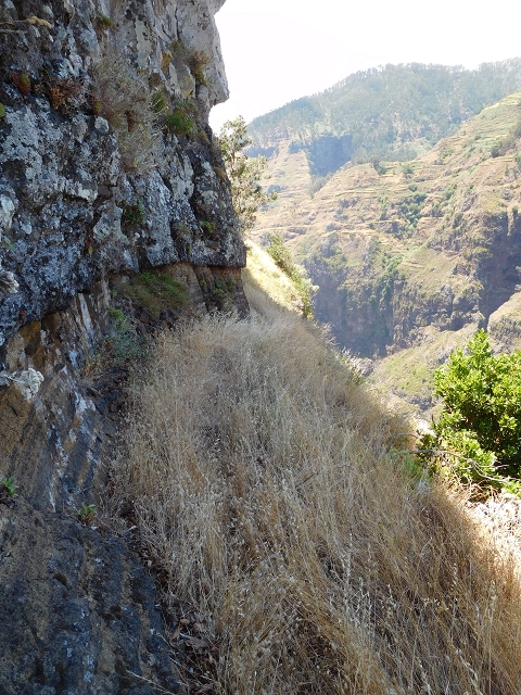 29 de julho de 2015 Levada do Norte de Serra de Agua a Espigao — A travessia — foto 20