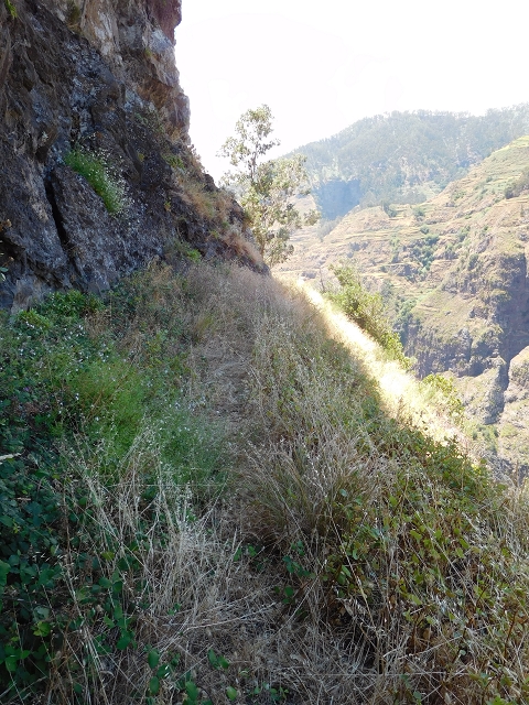 29 de julho de 2015 Levada do Norte de Serra de Agua a Espigao — A travessia — foto 22
