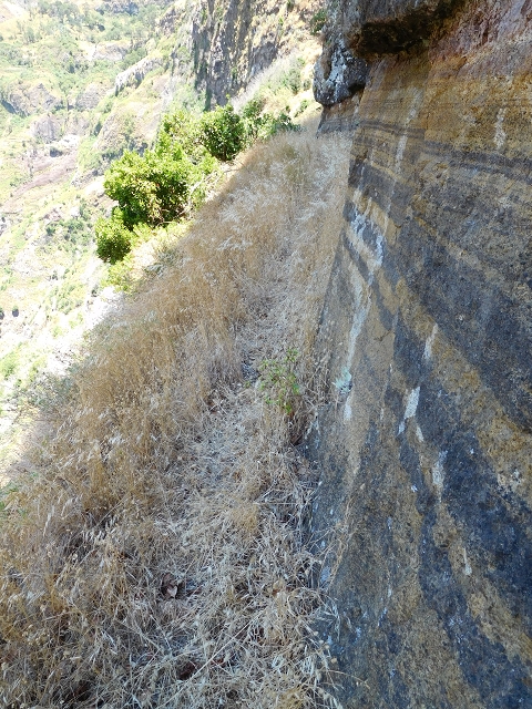 29 de julho de 2015 Levada do Norte de Serra de Agua a Espigao — A travessia — foto 23