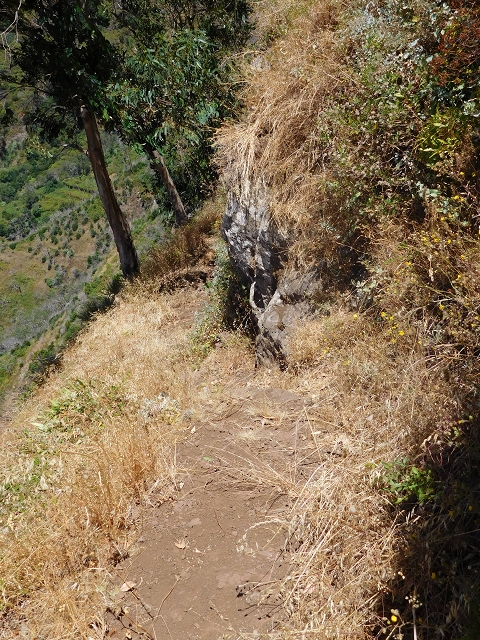 29 de julho de 2015 Levada do Norte de Serra de Agua a Espigao — A travessia — foto 25