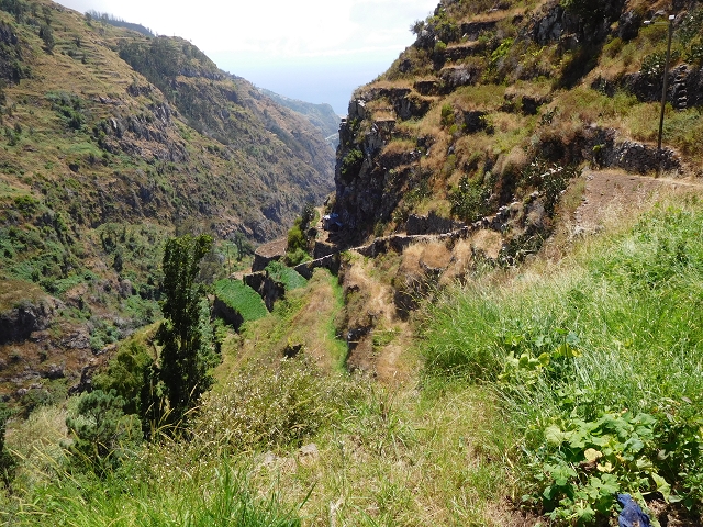 29 de julho de 2015 Levada do Norte de Serra de Agua a Espigao — Descida para Meia Legua — foto 1