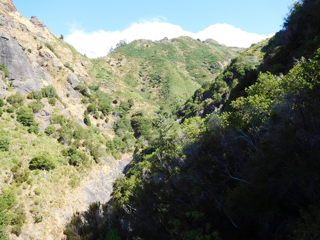 29 de julho de 2015 Levada do Norte de Serra de Agua a Espigao — Da Ribeira do Poco à Ribeira do Pico — foto 10