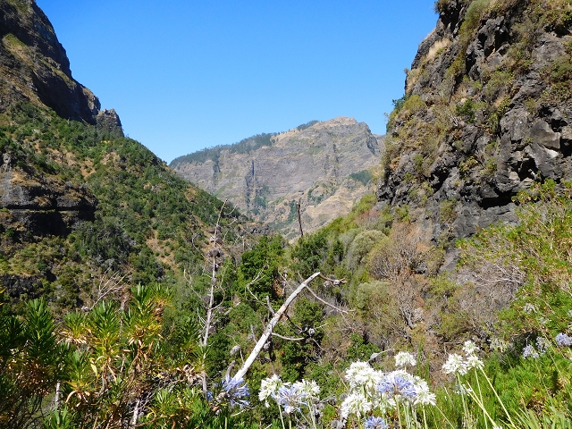 29 de julho de 2015 Levada do Norte de Serra de Agua a Espigao — Da Ribeira do Poco à Ribeira do Pico — foto 16