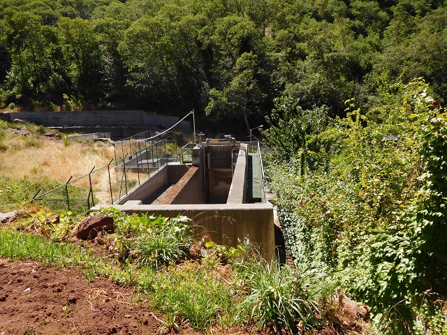 29 de julho de 2015 Levada do Norte de Serra de Agua a Espigao — Da Ribeira do Poco à Ribeira do Pico — foto 20