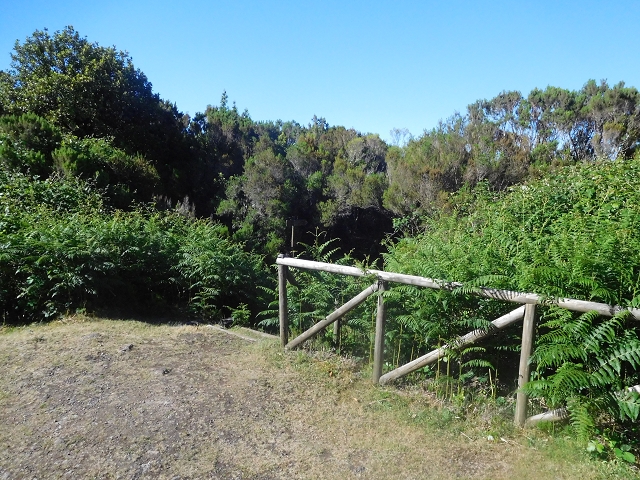 30 June 2016 Rabacal 2016 — Descent to the Madre of the Levada Vinte e Cinco Fontes — photo 1
