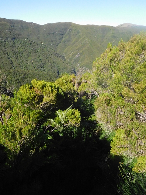 30 June 2016 Rabacal 2016 — Descent to the Madre of the Levada Vinte e Cinco Fontes — photo 10